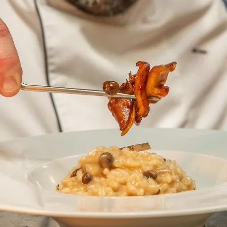 Vip Executive Arts מלון