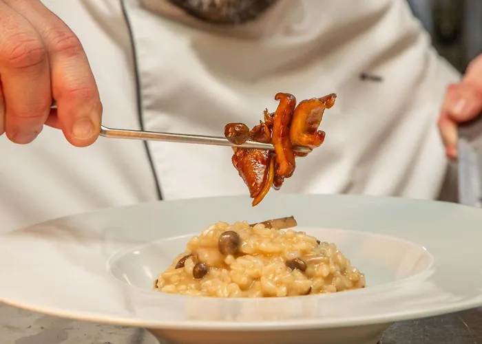 Vip Executive Arts Szálloda